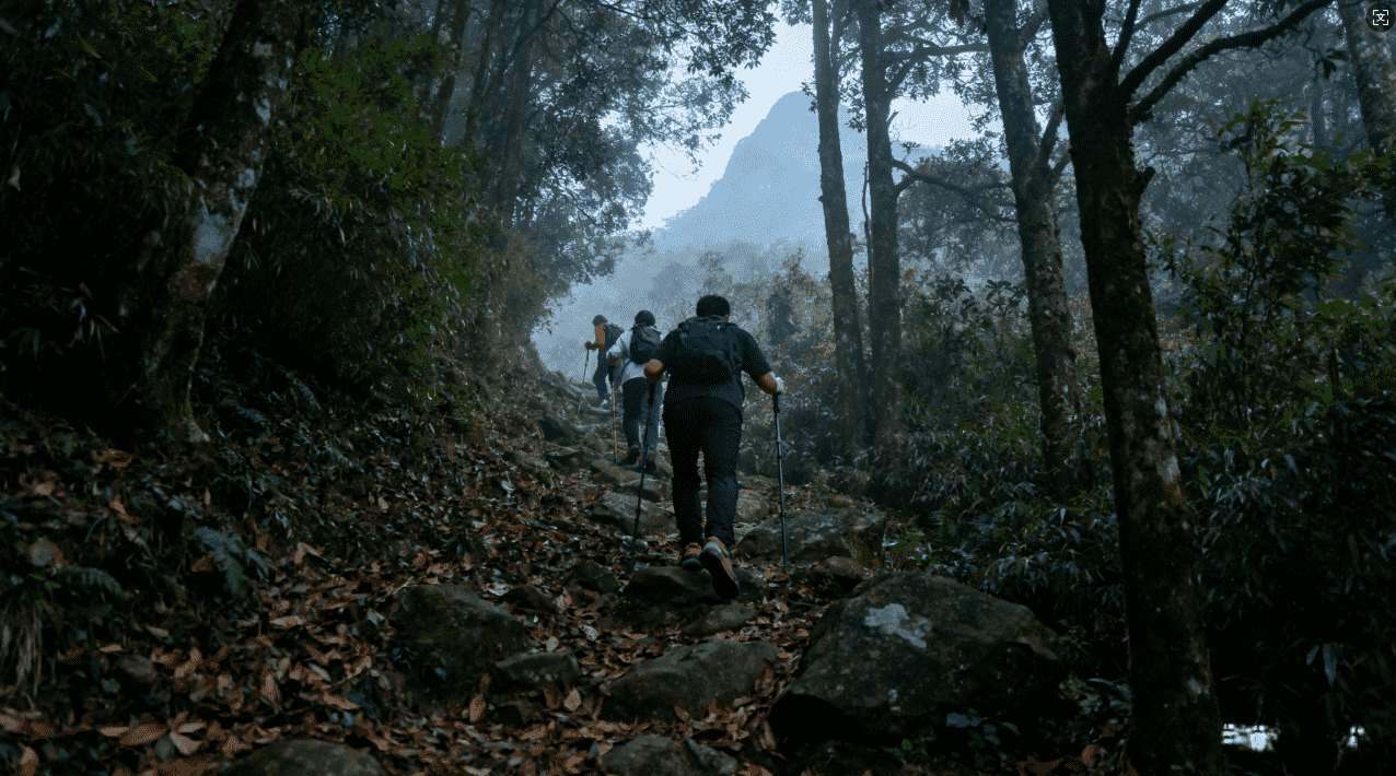 天行加速器全面优缺点解析及详细评价报告